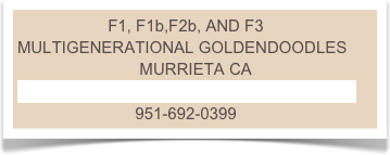                     F1, F1b,F2b, AND F3 MULTIGENERATIONAL GOLDENDOODLES
                           MURRIETA CA 
GLORIASGOLDENDOODLES@YAHOO.COM
                          951-692-0399                                                            
￼